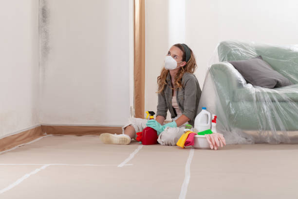 Reliable Basement Mold Remediation contractor in Williamsport, MD by WQB Mold Removal